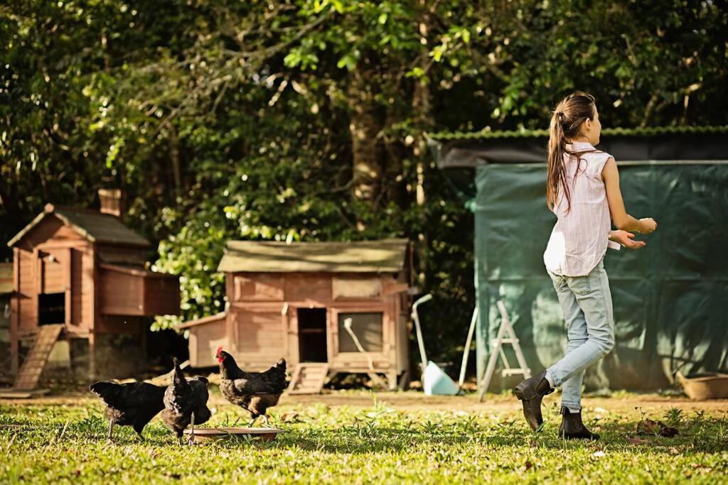 Pinbarren Green Lodges Noosa Exterior foto