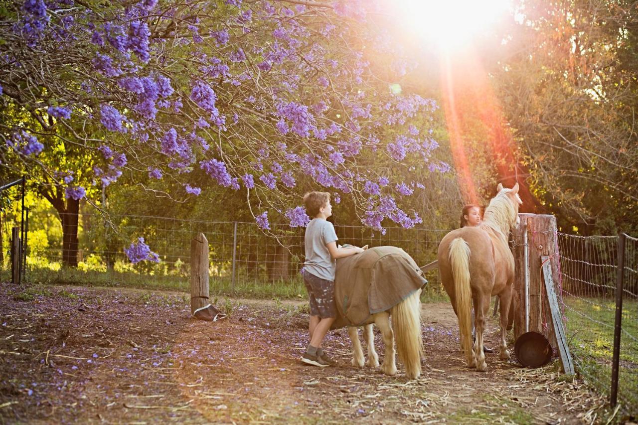 Pinbarren Green Lodges Noosa Exterior foto